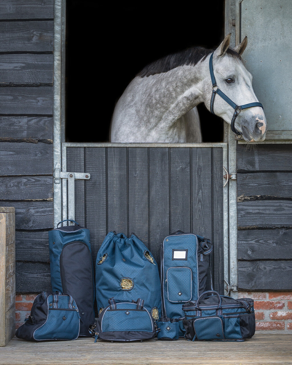 Duo licol et longe avec turnout QHP collection