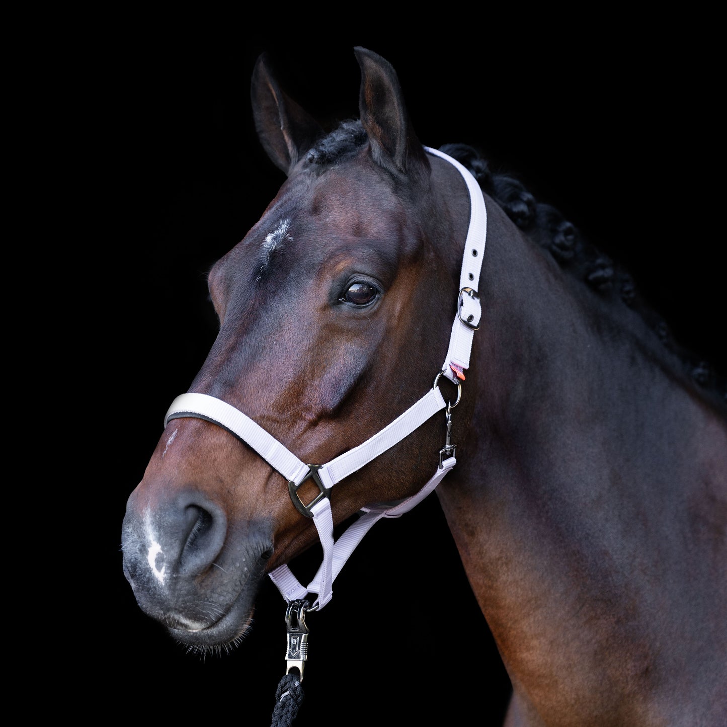 Licol Imperial Riding Classic Sport