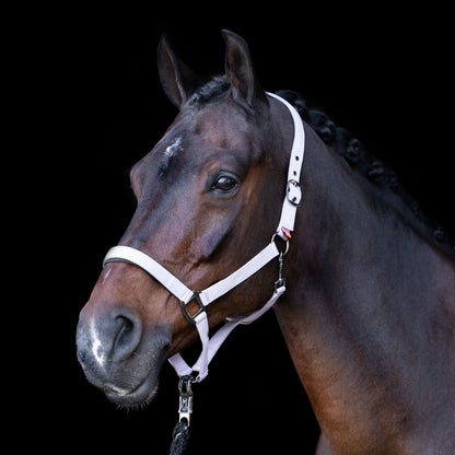 Licol Imperial Riding Classic Sport
