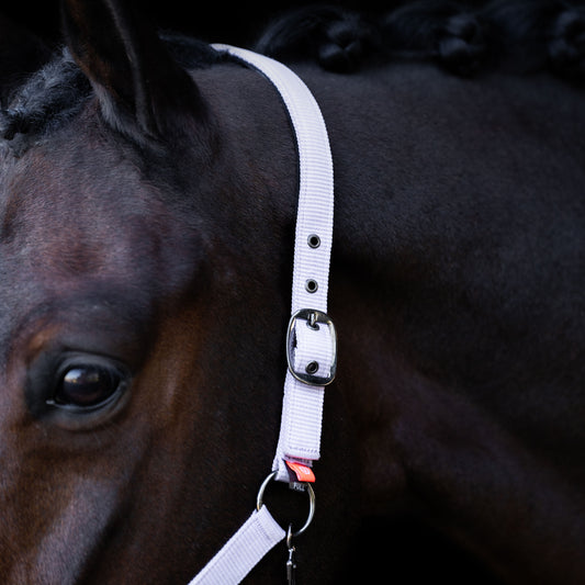 Licol Imperial Riding Classic Sport