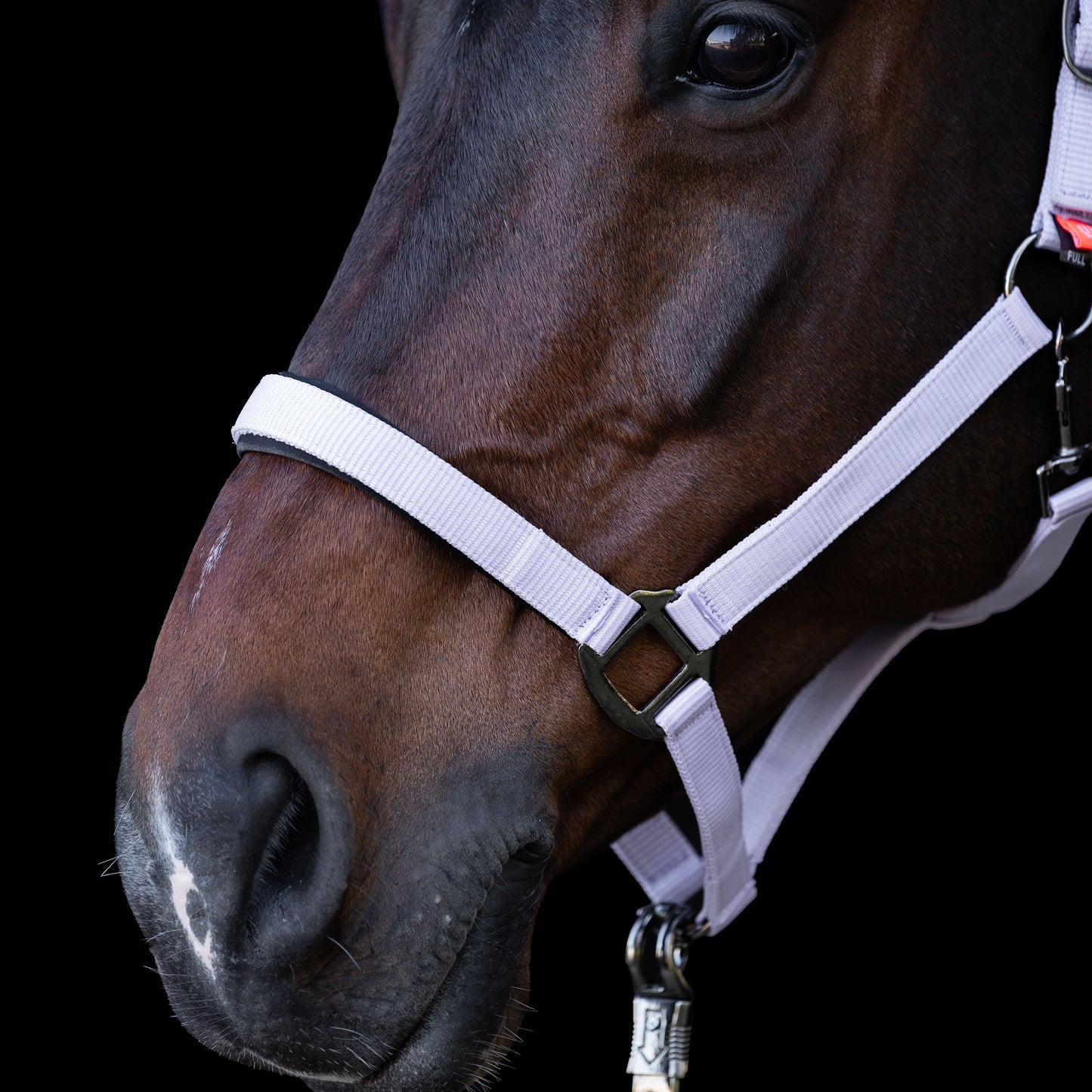 Licol Imperial Riding Classic Sport