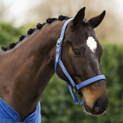 Licol Imperial Riding Classic Sport