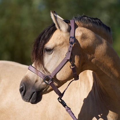 Licol Imperial Riding Classic Sport