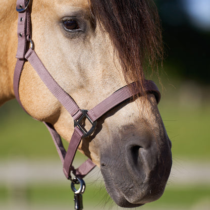 Licol Imperial Riding Classic Sport
