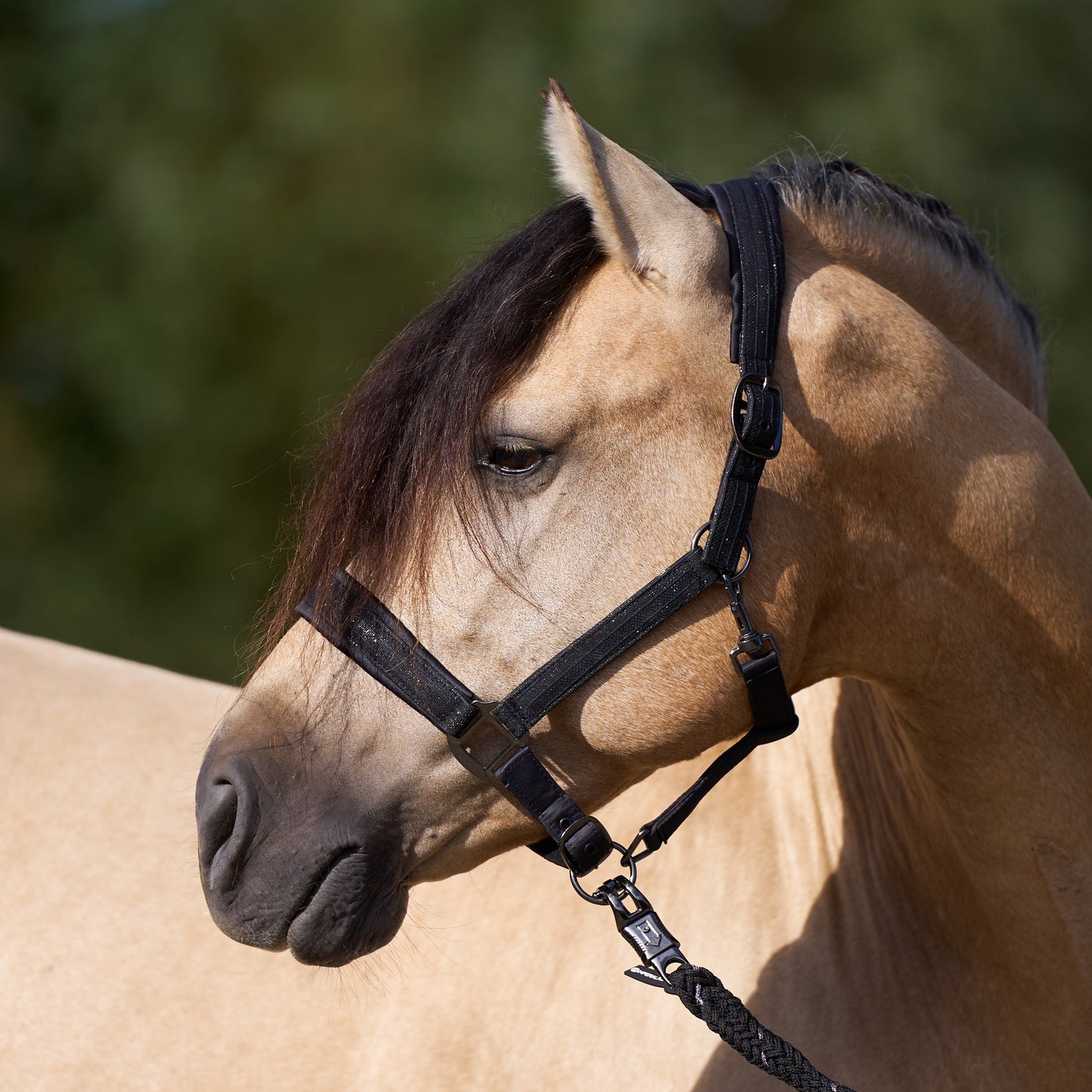 Licol Imperial Riding Sparkle