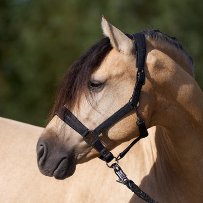 Licol Imperial Riding Sparkle