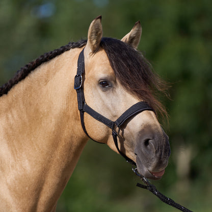 Licol Imperial Riding Sparkle