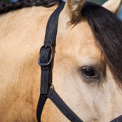 Licol Imperial Riding Sparkle