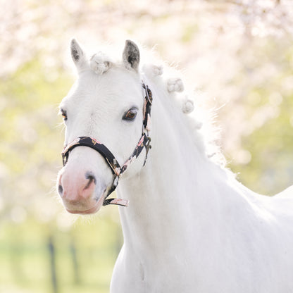 Licol Imperial Riding Rebel