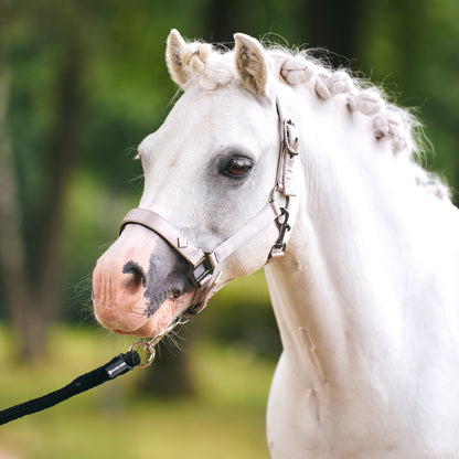 Licol Imperial Riding Rebel