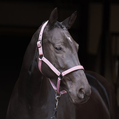 Licol Imperial Riding Rebel