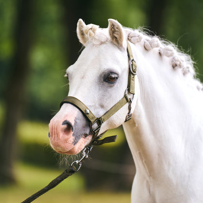 Licol Imperial Riding Rebel