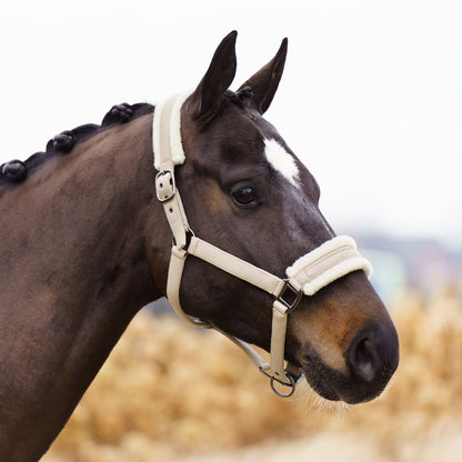 Licol Imperial Riding Jewel