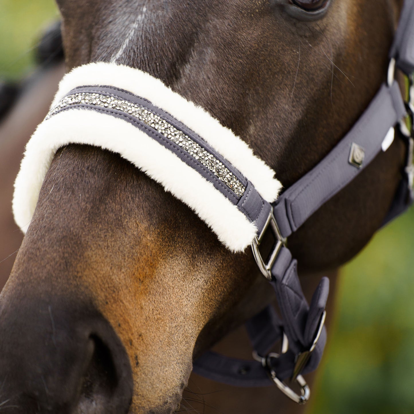 Licol Imperial Riding Jewel