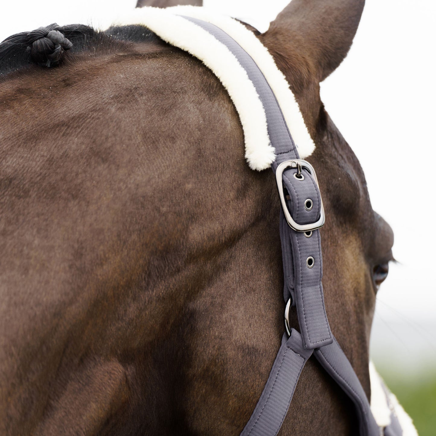 Licol Imperial Riding Jewel