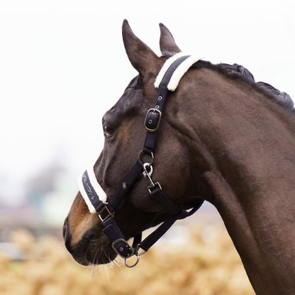 Licol Imperial Riding Jewel