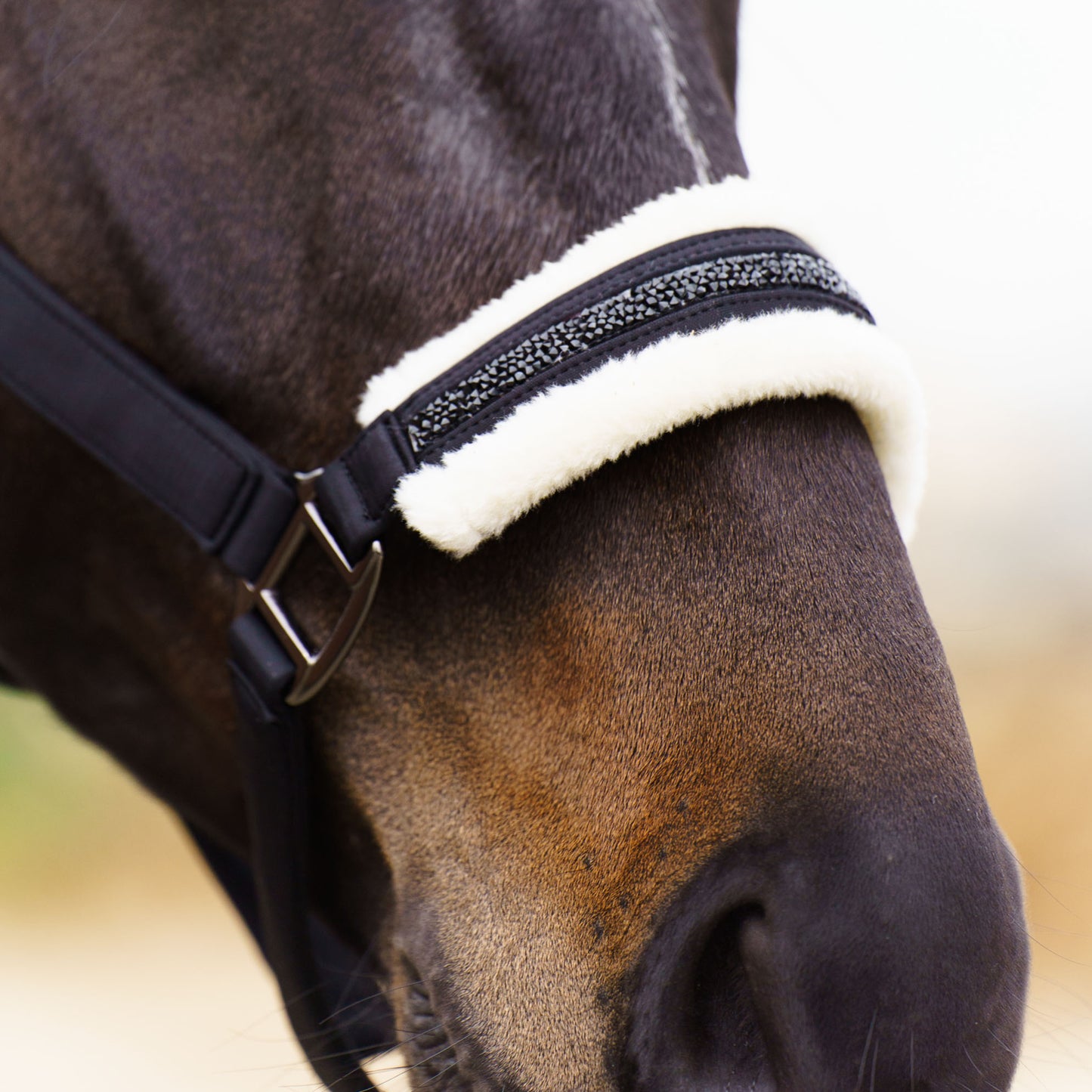 Licol Imperial Riding Jewel