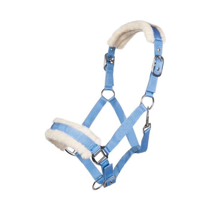Licol  HKM Bischofshofen rembourrage Teddy