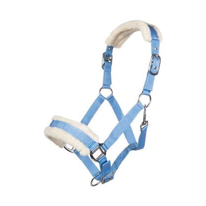 Licol  HKM Bischofshofen rembourrage Teddy