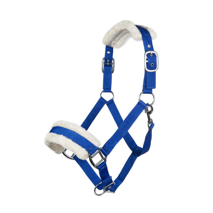 Licol  HKM Bischofshofen rembourrage Teddy
