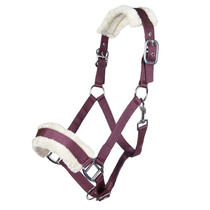 Licol  HKM Bischofshofen rembourrage Teddy