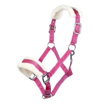 Licol  HKM Bischofshofen rembourrage Teddy