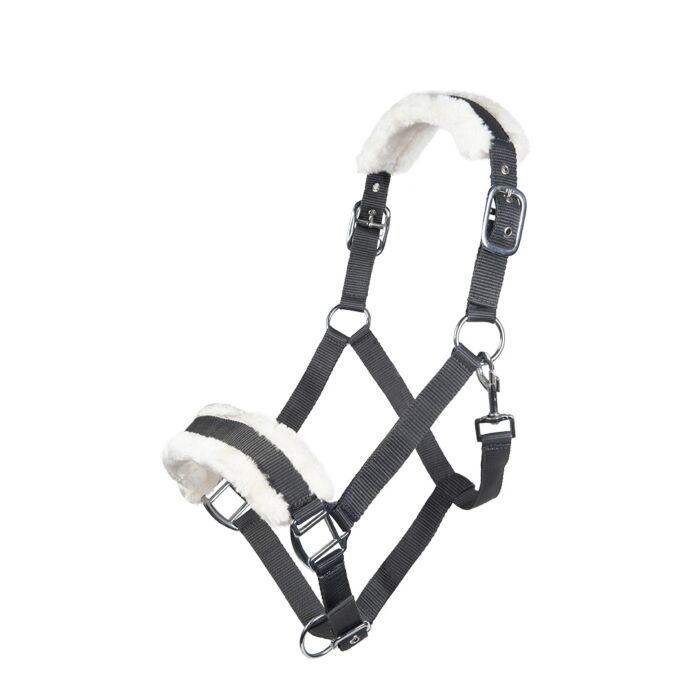 Licol  HKM Bischofshofen rembourrage Teddy