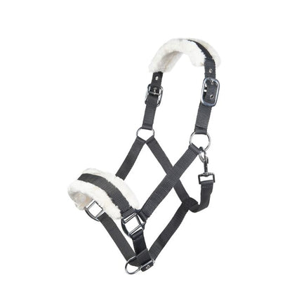Licol  HKM Bischofshofen rembourrage Teddy
