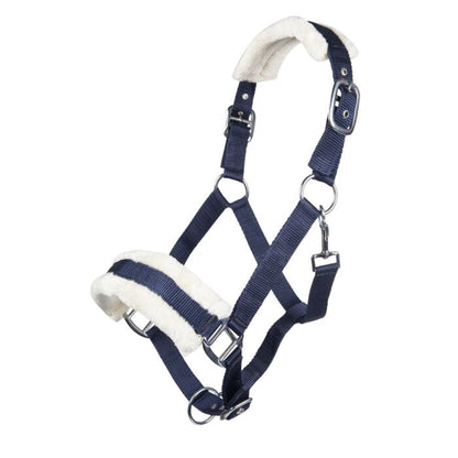 Licol  HKM Bischofshofen rembourrage Teddy