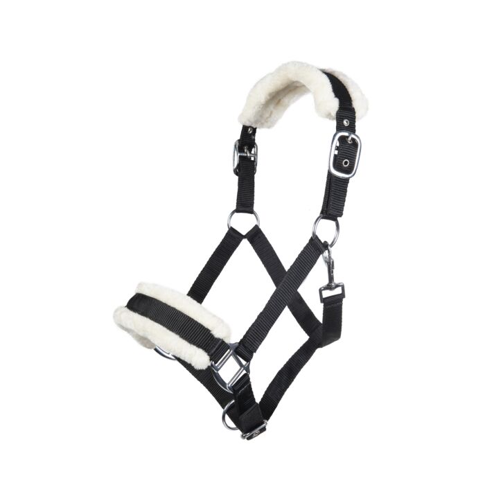 Licol  HKM Bischofshofen rembourrage Teddy