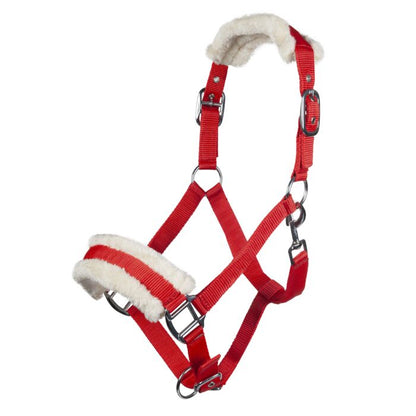 Licol  HKM Bischofshofen rembourrage Teddy