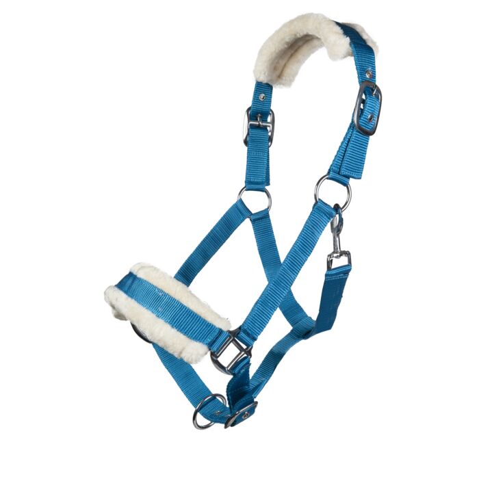 Licol  HKM Bischofshofen rembourrage Teddy