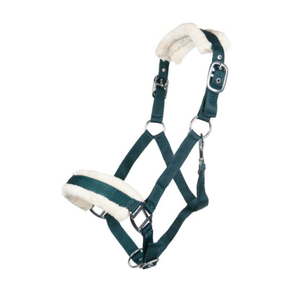 Licol  HKM Bischofshofen rembourrage Teddy