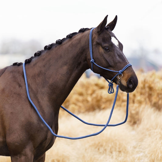 Licol corde avec rênes Imperial Riding Free Ride