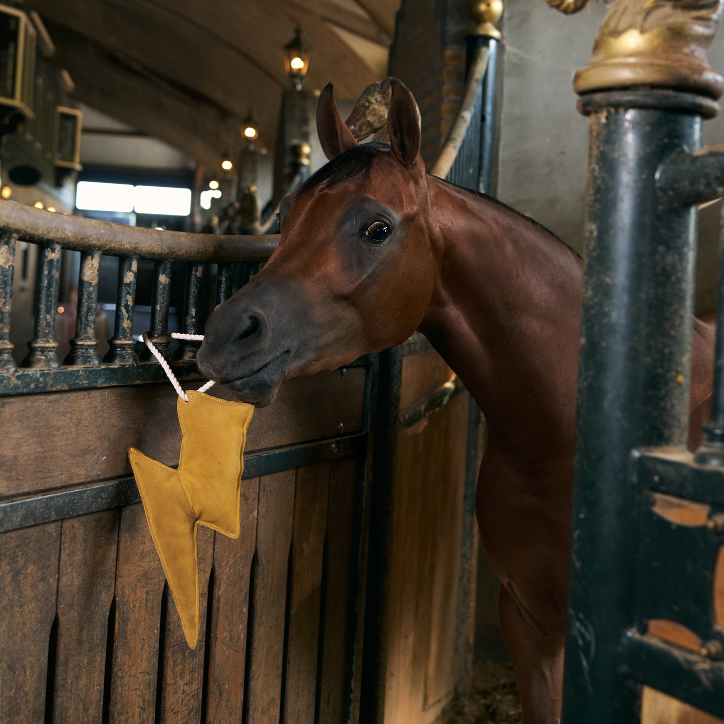 Jouet Imperial Riding Lightning bolt