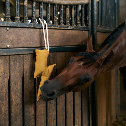 Jouet Imperial Riding Lightning bolt