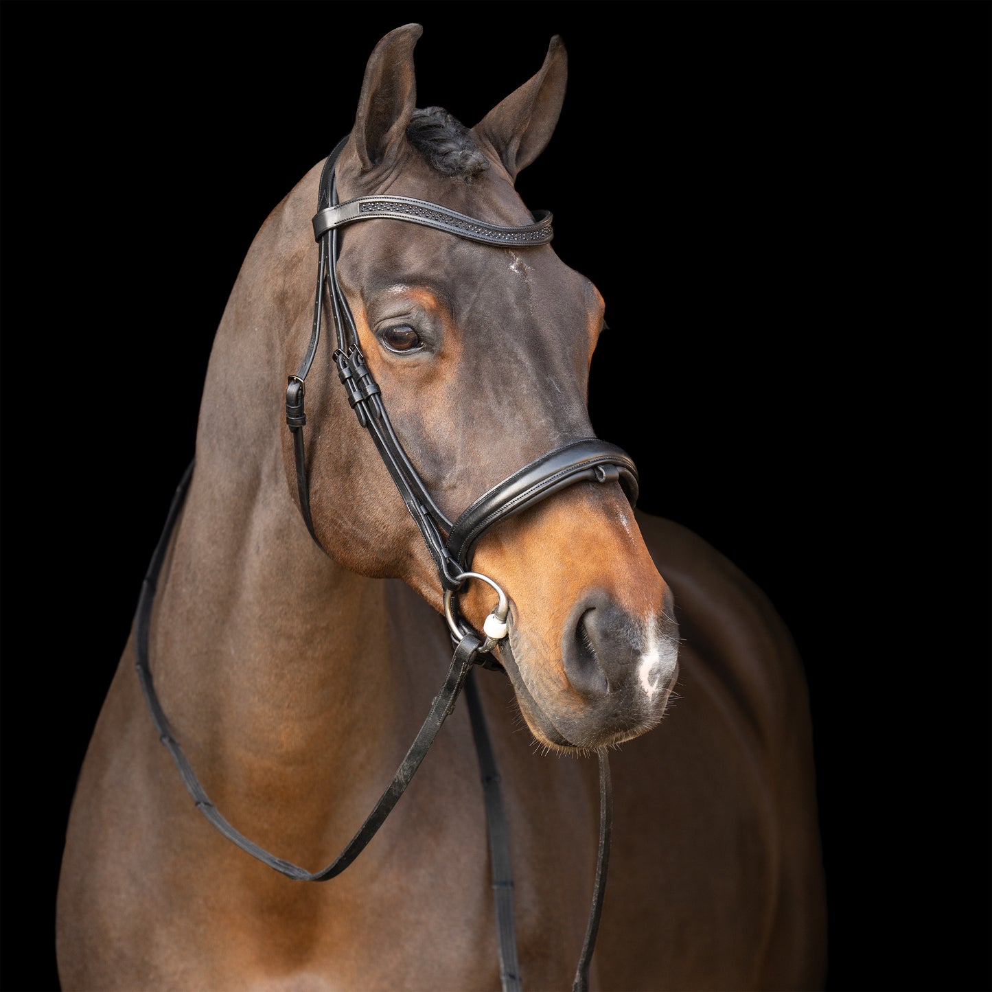 Bridon Imperial Riding