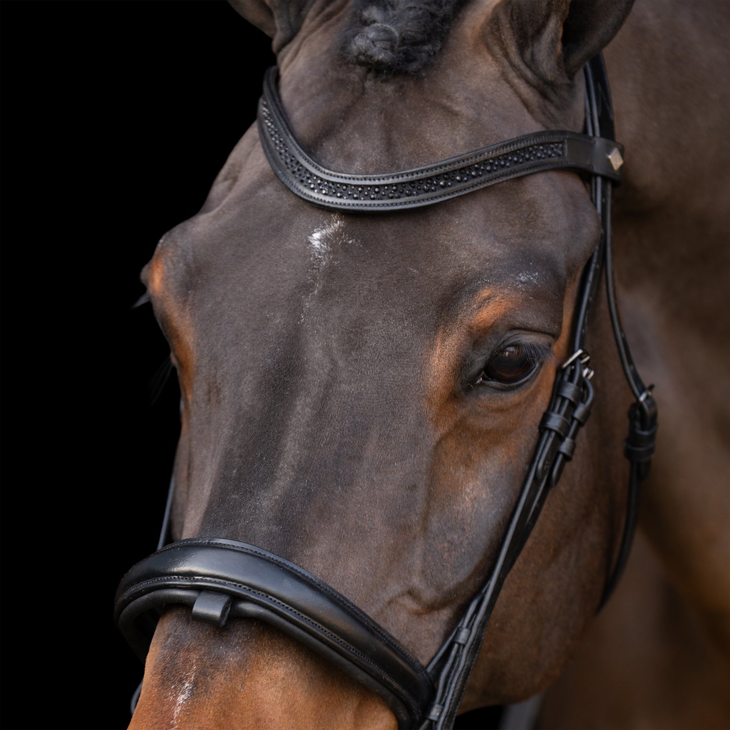Bridon Imperial Riding
