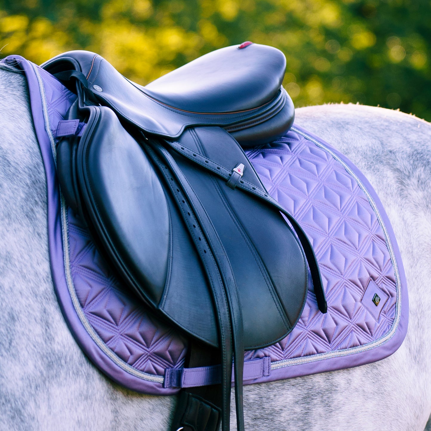 Tapis de selle Imperial Riding Lenny CSO