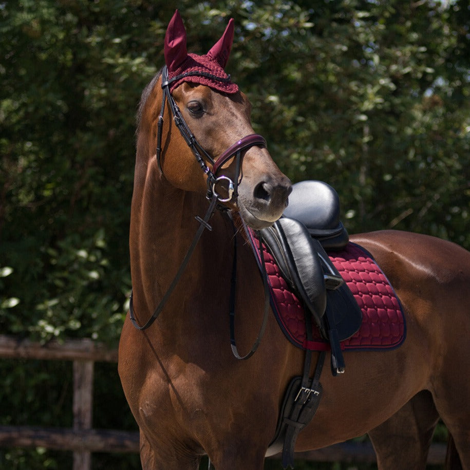 Bonnet anti-mouches pour poneys et chevaux QHP Florence bordeaux