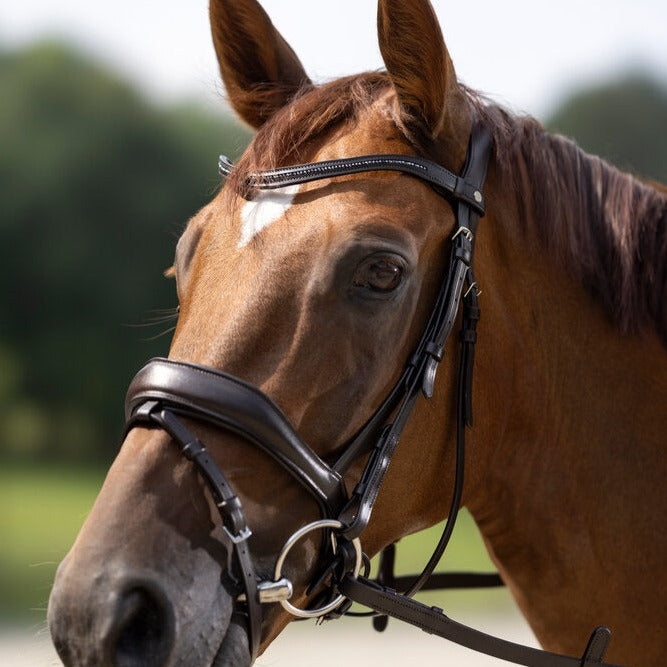 Bridon pour poneys et chevaux HKM Ira marronBridon pour poneys et chevaux HKM Ira marron