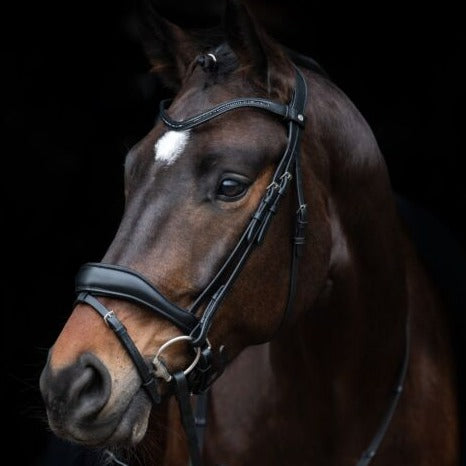 Bridon pour poneys et chevaux HKM Ira noir