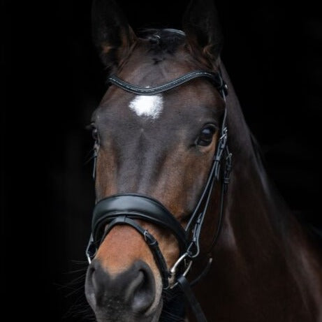 Bridon pour poneys et chevaux HKM Ira noir