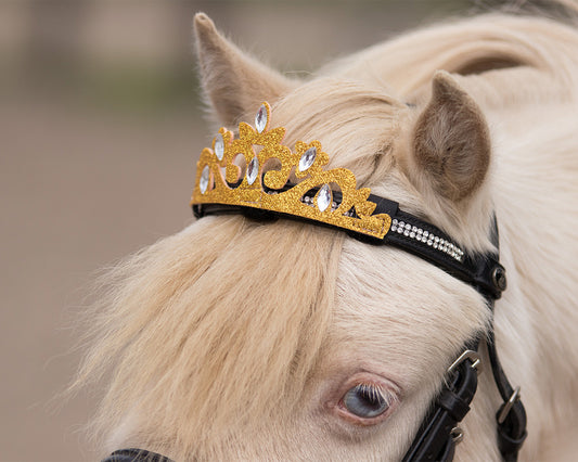 Couronne QHP pour bridon