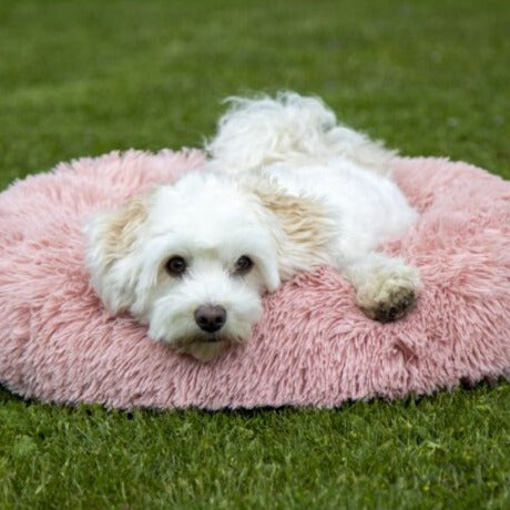 Coussin pour chien HKM Fluffy rose