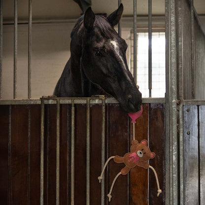 Jouet pour poneys et chevaux QHP Valentine