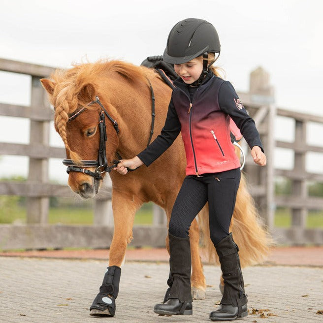 Poster Petite fille sur un cheval poney