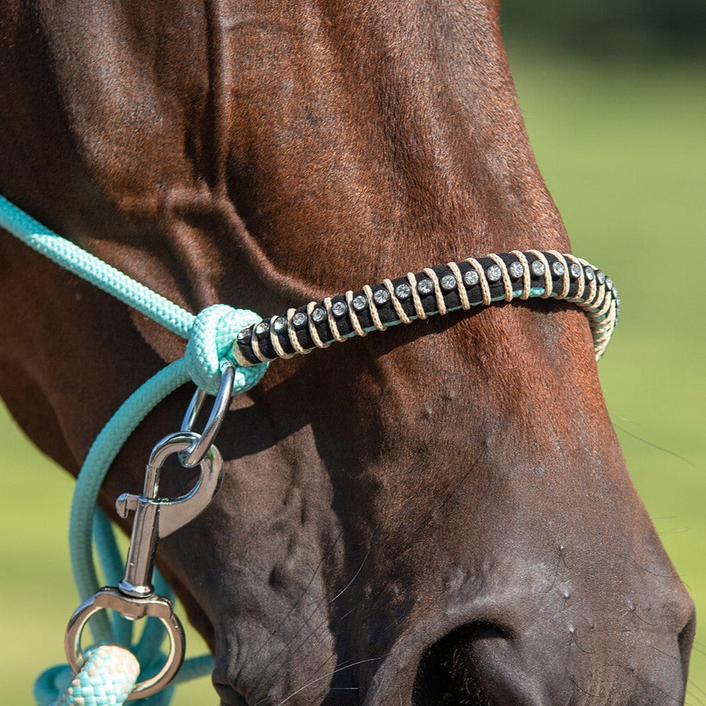 Di alta qualità in Nylon cavezza intrecciata cavallo corda di piombo in pelle di Di alta qualità in Nylon cavezza intrecciata cavallo corda di piombo in pelle di