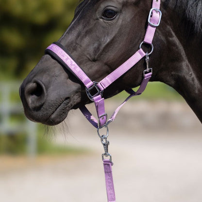 Longe pour poneys et chevaux HKM Harbour Island rose lilas