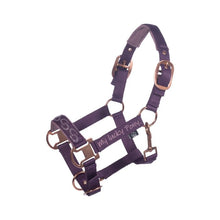 Charger l&#39;image dans la galerie, Licol pour mini-shetlands, shetlands et poneys HKM Alva lilas
